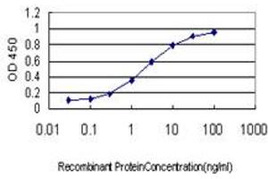 Detection limit for recombinant GST tagged TRIM63 is approximately 0. (TRIM63 antibody  (AA 254-352))