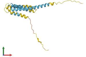 AlphaFold protein structure predicition of Human Recombinant CMTM1 Protein, UniprotID Q8IZ96