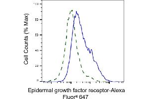 Validation of Epidermal growth factor receptor knockdown using flow cytometry. (EGFR antibody)