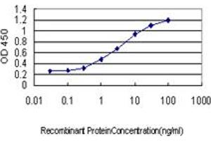 Detection limit for recombinant GST tagged AKAP13 is approximately 0. (AKAP13 antibody  (AA 1-110))