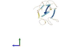 AlphaFold protein structure predicition of Human Recombinant CCDC27 Protein, UniprotID Q2M243 (CCDC27 Protein (AA 1-656) (His tag))