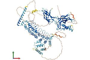 Protein Structure (PS) image for Nuclear Factor of kappa Light Polypeptide Gene Enhancer in B-Cells 2 (NFKB2) (AA 1-900) protein (His tag) (ABIN7554732)