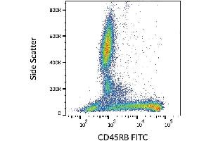 Surface staining of human peripheral blood with anti-CD45RB (MEM-55) FITC. (CD45RB antibody  (FITC))