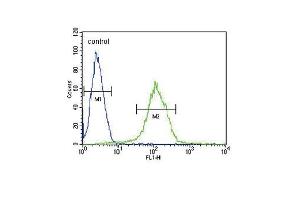 CFHR5 Antibody (Center) (ABIN651876 and ABIN2840434) flow cytometric analysis of CEM cells (right histogram) compared to a negative control cell (left histogram). (CFHR5 antibody  (AA 203-231))
