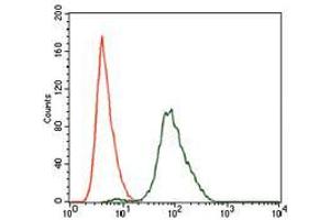 Flow cytometric analysis of NIH3T3 cells using SPIB mouse mAb (green) and negative control (red). (SPIB antibody  (AA 200-252))