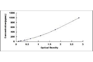 NCR3 ELISA Kit