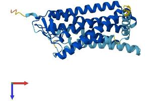 AlphaFold protein structure predicition of Human Recombinant OR4E2 Protein, UniprotID Q8NGC2 (OR4E2 Protein (AA 1-313) (His tag))