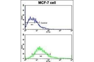 Flow cytometric analysis of MCF-7 cells using DSG2 Antibody (N-term ) (bottom histogram) compared to a negative control cell (top histogram). (Desmoglein 2 antibody  (N-Term))