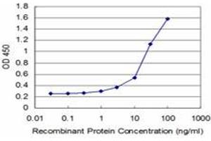 Detection limit for recombinant GST tagged TGIF2 is approximately 1ng/ml as a capture antibody. (TGIF2 antibody  (AA 131-236))