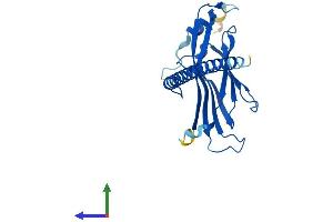 Protein Structure (PS) image for YEATS Domain Containing 4 (AA 1-227) protein (His tag) (ABIN7545214)