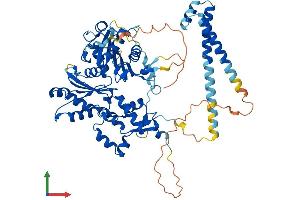 Protein Structure (PS) image for ARP5 Actin-Related Protein 5 Homolog (ACTR5) (AA 1-607) protein (His tag) (ABIN7552325)