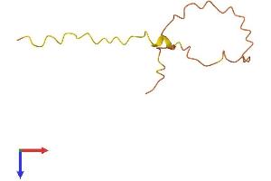 AlphaFold protein structure predicition of Human Recombinant KRTAP19-5 Protein, UniprotID Q3LI72
