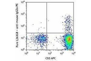 Flow Cytometry (FACS) image for anti-Chemokine (C-C Motif) Receptor 8 (CCR8) antibody (ABIN2664101) (CCR8 antibody)