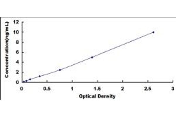 PDIA5 ELISA Kit