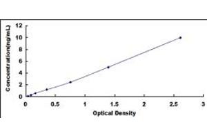 Typical standard curve (PDIA5 ELISA Kit)