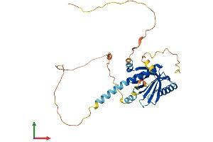 AlphaFold protein structure predicition of Human Recombinant LDLRAP1 Protein, UniprotID Q5SW96