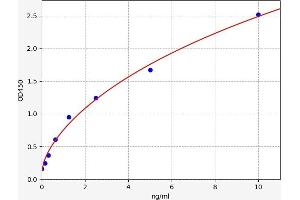 Charcot-Leyden Crystal Protein (CLC) ELISA Kit