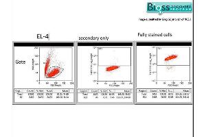 Fixed and permeabilized EL-4 cells were labeled with Rabbit Anti- TAP2/ABCB3 Polyclonal Antibody, Unconjugated (ABIN680123) at 1:200 followed by conjugation to the secondary antibody Goat Anti-Rabbit IgG FITC conjugated Secondary Antibody at 1:200 dilution. (TAP2 antibody  (AA 451-550))