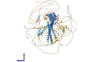 AlphaFold protein structure predicition of Mouse Recombinant Plekha6 Protein, UniprotID Q7TQG1