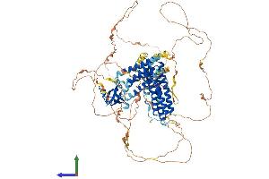 AlphaFold protein structure predicition of Human Recombinant BCAR1 Protein, UniprotID P56945