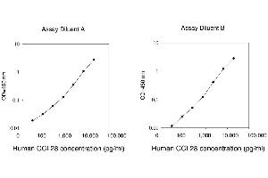 ELISA image for Chemokine (C-C Motif) Ligand 28 (CCL28) ELISA Kit (ABIN1979920) (CCL28 ELISA Kit)