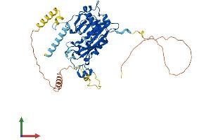 AlphaFold protein structure predicition of Mouse Recombinant Mettl14 Protein, UniprotID Q3UIK4 (METTL14 Protein (AA 1-456) (His tag))