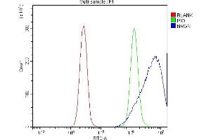 Flow Cytometry analysis of K562 cells using anti-Neurogranin/NRGN antibody (ABIN7599728). (Neurogranin antibody  (AA 11-54))