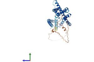 AlphaFold protein structure predicition of Human Recombinant KCNK9 Protein, UniprotID Q9NPC2 (KCNK9 Protein (AA 1-374) (His tag))