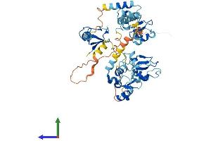 Protein Structure (PS) image for X-Linked Inhibitor of Apoptosis (XIAP) (AA 1-497) protein (His tag) (ABIN7556053)
