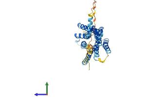 AlphaFold protein structure predicition of Human Recombinant GPR157 Protein, UniprotID Q5UAW9