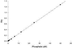 ELISA image for SensoLyte® MG Phosphate Assay Kit (ABIN1882588) (SensoLyte® MG Phosphate Assay Kit)