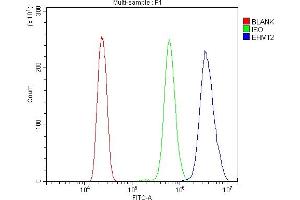 Flow Cytometry analysis of HL-60 cells using anti-EHMT2/G9A antibody (ABIN7602084).
