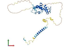 AlphaFold protein structure predicition of Human Recombinant ZFPL1 Protein, UniprotID O95159