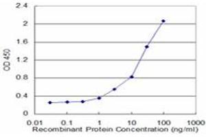 Detection limit for recombinant GST tagged FH is approximately 1ng/ml as a capture antibody. (FH antibody  (AA 33-510))