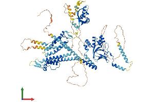 AlphaFold protein structure predicition of Human Recombinant KCNH1 Protein, UniprotID O95259 (KCNH1 Protein (AA 1-989) (His tag))