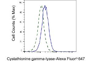 Flow cytometric analysis of cystathionine gamma-lyase expression in HepG2 cells using cystathionine gamma-lyase antibody (ABIN7798231), 1:2,000). (CTH antibody)