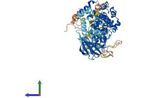 Protein Structure (PS) image for Ribosomal Protein S6 Kinase, 90kDa, Polypeptide 1 (RPS6KA1) (AA 1-735) protein (His tag) (ABIN7554317)