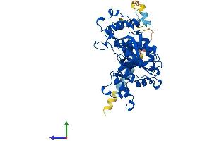AlphaFold protein structure predicition of Human Recombinant B3GNT2 Protein, UniprotID Q9NY97