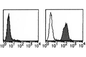 Flow Cytometry (FACS) image for anti-CD274 (PD-L1) (Extracellular Domain) antibody (ABIN1449244) (PD-L1 antibody  (Extracellular Domain))
