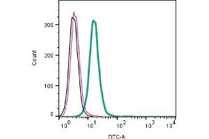 Cell surface detection of NPFFR2 by indirect flow cytometry in live intact human  monocytic leukemia cell line: + goat-anti-rabbit-FITC. (NPFFR2 antibody  (Extracellular))