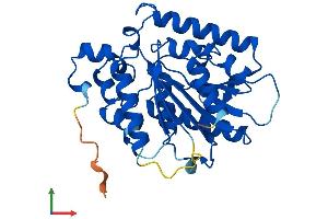 Protein Structure (PS) image for Arylformamidase (AFMID) (AA 1-305) protein (His tag) (ABIN7559571)