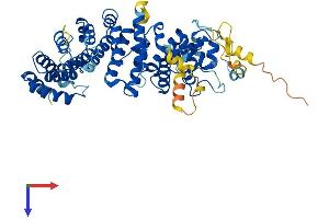 Resistance To Inhibitors of Cholinesterase 8 Homolog B (RIC8B) (AA 1-520) protein (His tag)