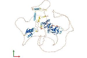 AlphaFold protein structure predicition of Mouse Recombinant Mcph1 Protein, UniprotID Q7TT79