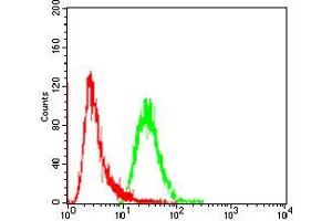 Flow Cytometry (FACS) image for anti-Fibroblast Growth Factor Receptor 3 (FGFR3) (AA 529-694) antibody (ABIN5542298)
