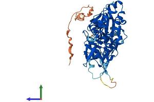 Protein Structure (PS) image for Actin-Like 7A (ACTL7A) (AA 1-435) protein (His tag) (ABIN7551876)
