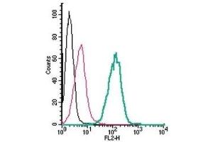 Cell surface detection of xCT/SLC7A11 in live intact human THP-1 monocytic leukemia cells: (black line) Cells. (SLC7A11 antibody  (3rd Extracellular Loop) (PE))