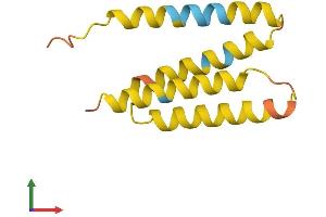 AlphaFold protein structure predicition of Human Recombinant TMEM14DP Protein, UniprotID A8MWL7 (TMEM14D Protein (AA 1-114) (His tag))