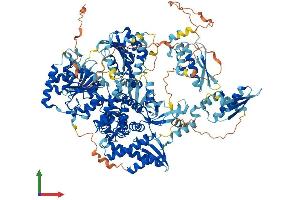 Protein Structure (PS) image for DEAH (Asp-Glu-Ala-His) Box Polypeptide 30 (DHX30) (AA 1-1217) protein (His tag) (ABIN7564930)