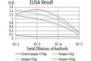 Black line: Control Antigen (100 ng),Purple line: Antigen (10 ng), Blue line: Antigen (50 ng), Red line:Antigen (100 ng) (Cyclin D1 antibody  (AA 167-295))
