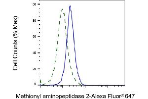 Validation of Methionyl aminopeptidase 2 knockdown using flow cytometry.